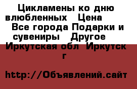 Цикламены ко дню влюбленных › Цена ­ 180 - Все города Подарки и сувениры » Другое   . Иркутская обл.,Иркутск г.